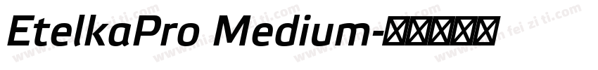 EtelkaPro Medium字体转换
